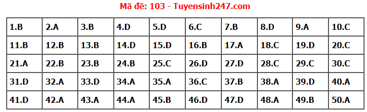 Đề thi tốt nghiệp THPT năm 2022 môn Toán và gợi ý giải đề