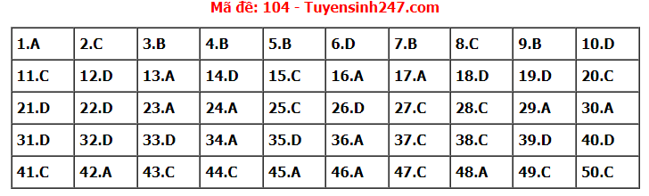 Đề thi tốt nghiệp THPT năm 2022 môn Toán và gợi ý giải đề