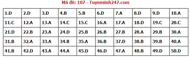 Đề thi tốt nghiệp THPT năm 2022 môn Toán và gợi ý giải đề