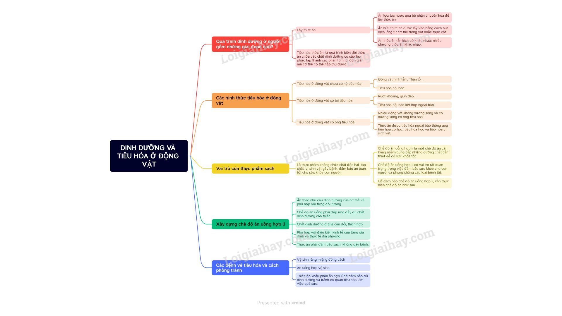 Lý thuyết Dinh dưỡng và tiêu hóa ở động vật - Sinh học 11 Chân trời sáng tạo</>