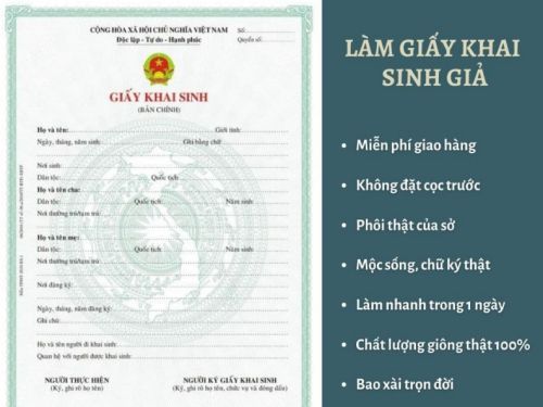 Làm Giấy Khai Sinh Giả Không Cần Đến Văn Phòng Nhà Nước