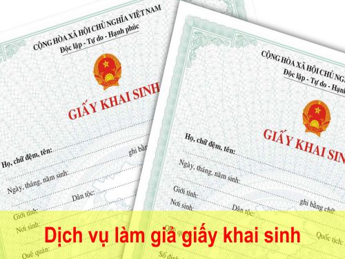 Làm Giấy Khai Sinh Giả Không Cần Đến Văn Phòng Nhà Nước
