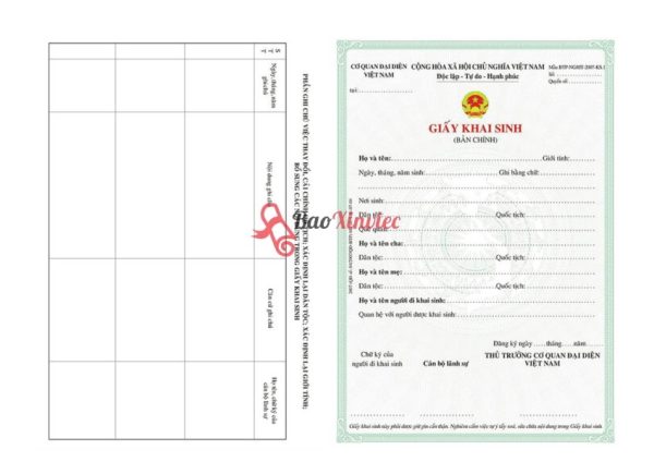 Làm Giấy Khai Sinh Giả Không Cần Đến Văn Phòng Nhà Nước