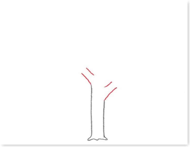 huong-dan-ve-cay-xanh-03