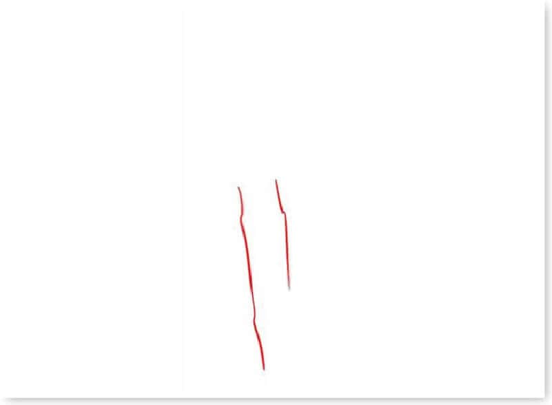 huong-dan-ve-cay-xanh-27