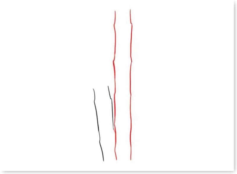 huong-dan-ve-cay-xanh-28