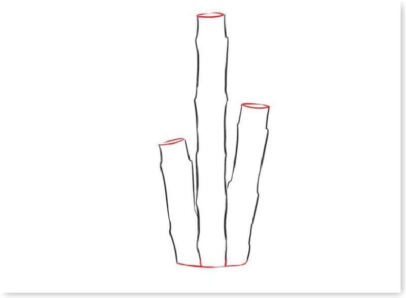 huong-dan-ve-cay-xanh-30