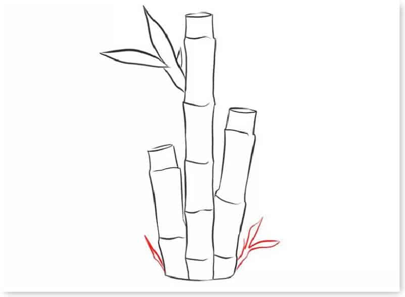 huong-dan-ve-cay-xanh-33