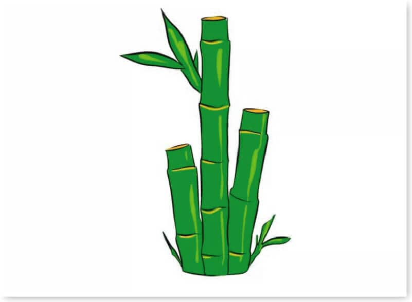 huong-dan-ve-cay-xanh-34