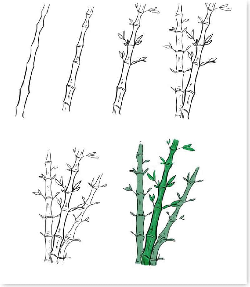 huong-dan-ve-cay-xanh-35