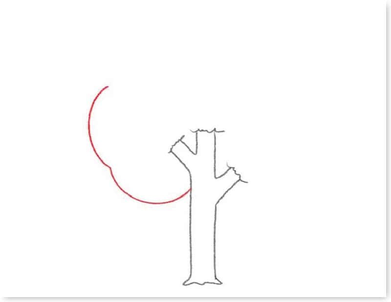 huong-dan-ve-cay-xanh-06