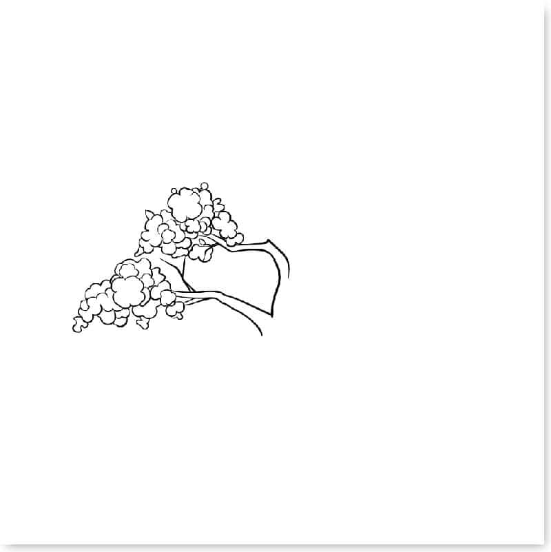 cach-ve-cay-don-gian-10