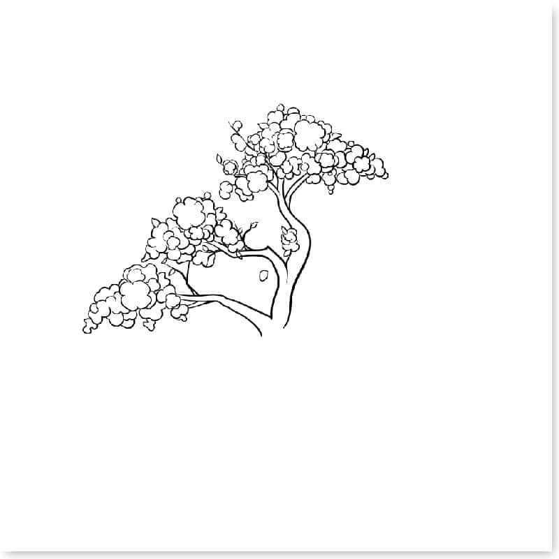 cach-ve-cay-don-gian-11