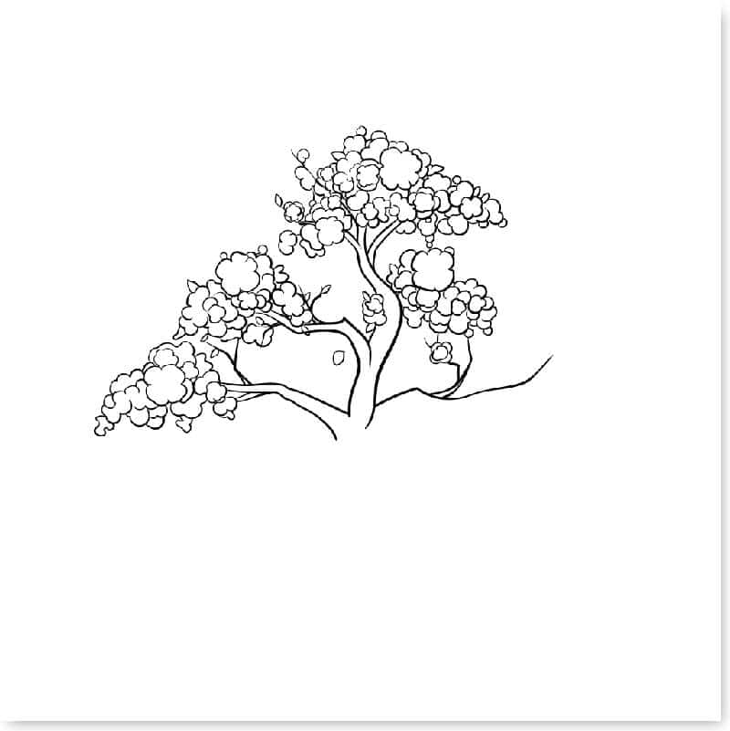 cach-ve-cay-don-gian-12