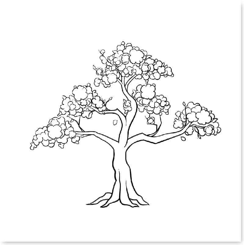 cach-ve-cay-don-gian-13