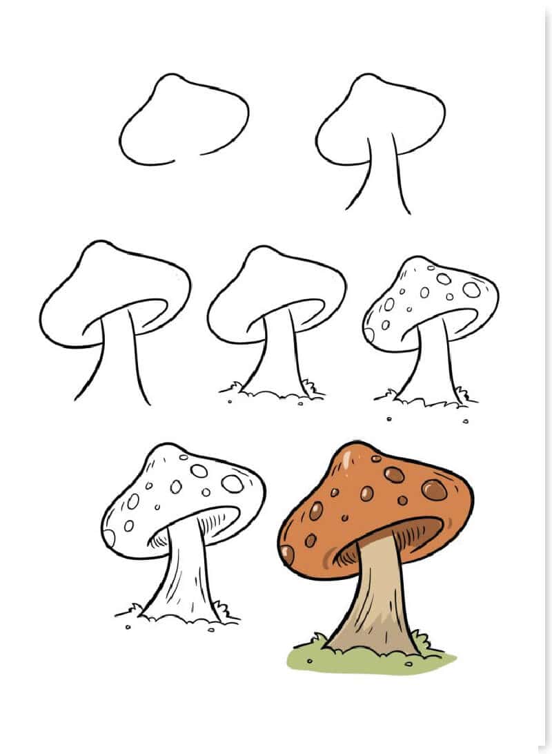 cach-ve-cay-don-gian-08