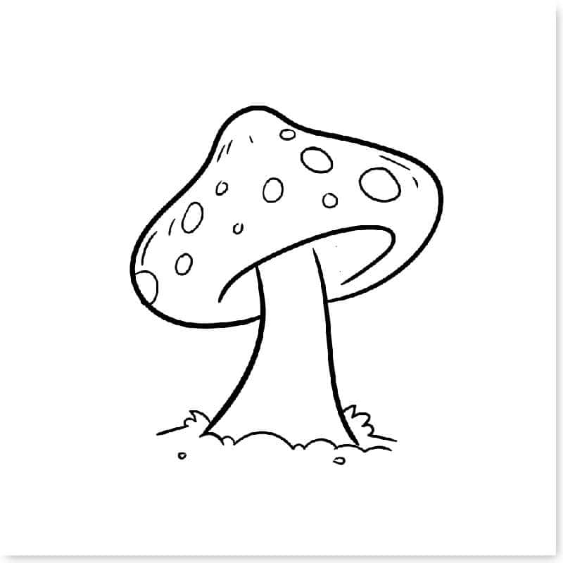 cach-ve-cay-don-gian-05