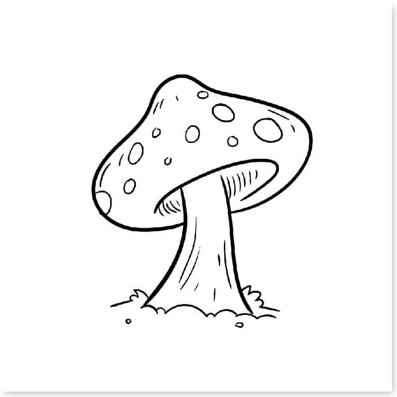 cach-ve-cay-don-gian-06