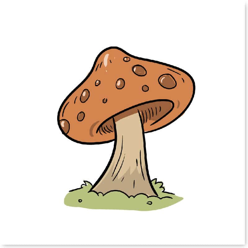 cach-ve-cay-don-gian-07