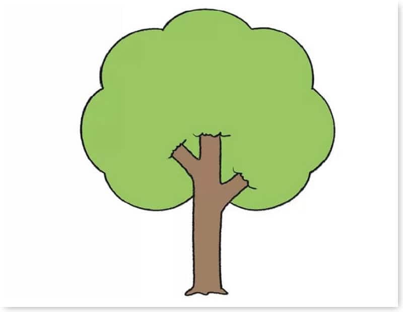 huong-dan-ve-cay-xanh-09