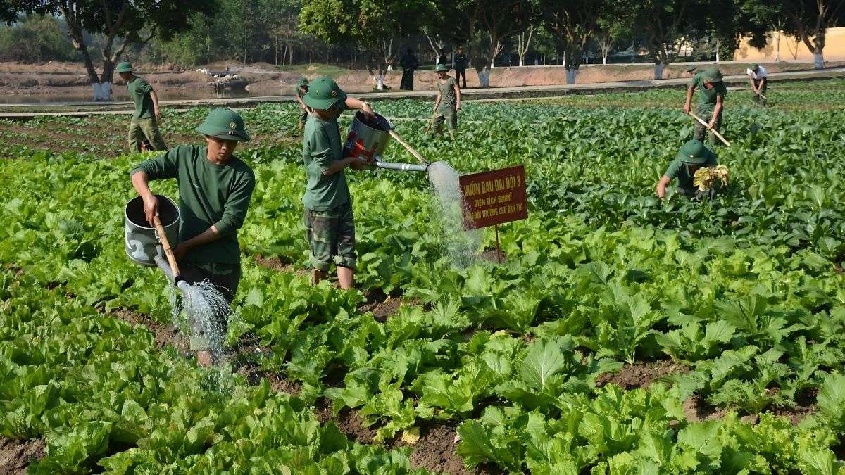 Hình ảnh chú bộ đội đang tưới rau tại vườn