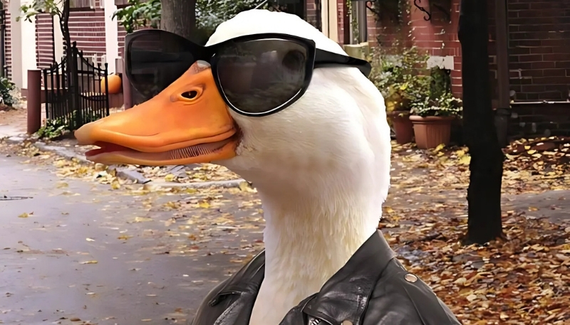 hình nền vịt ngầu đẹp rõ nét