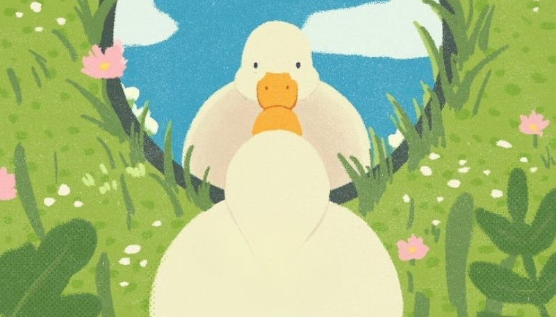 hình con vịt vô tri đẹp làm nền PC