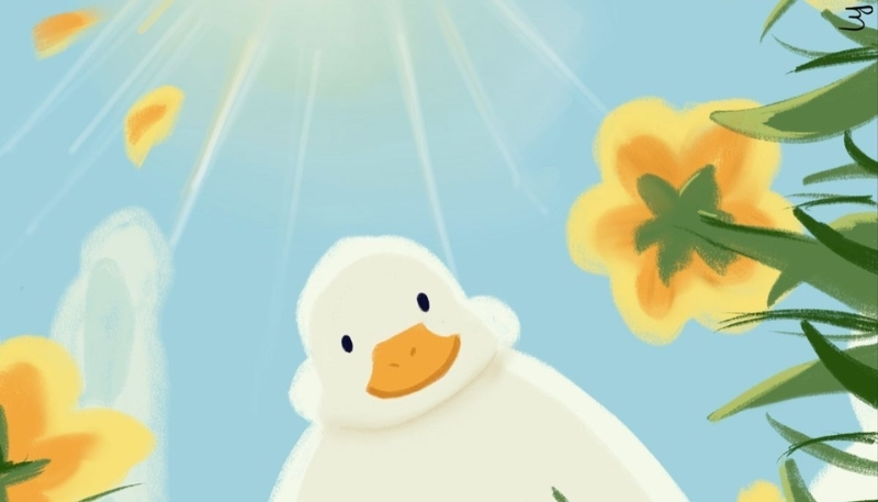 ảnh con vịt vô tri hài hước 4K rõ nét