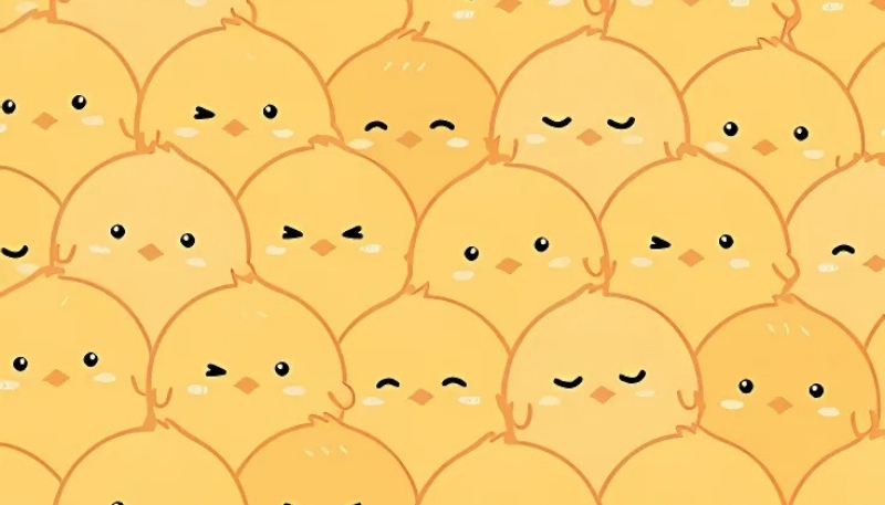 hình nền con vịt đáng yêu cho laptop