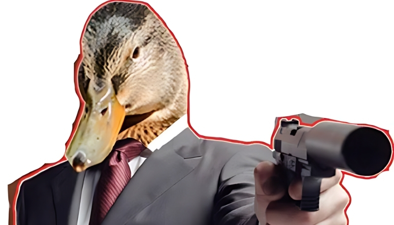 hình nền meme vịt buồn cười cho máy tính