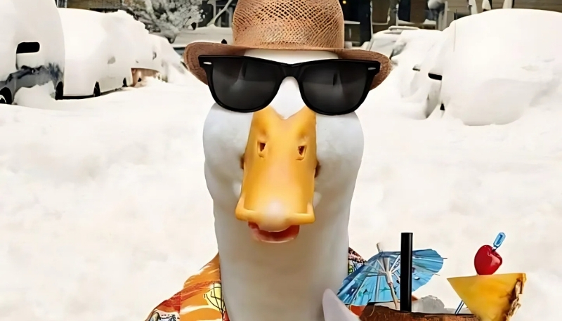 ảnh nền vịt meme đẹp 4K sắc nét