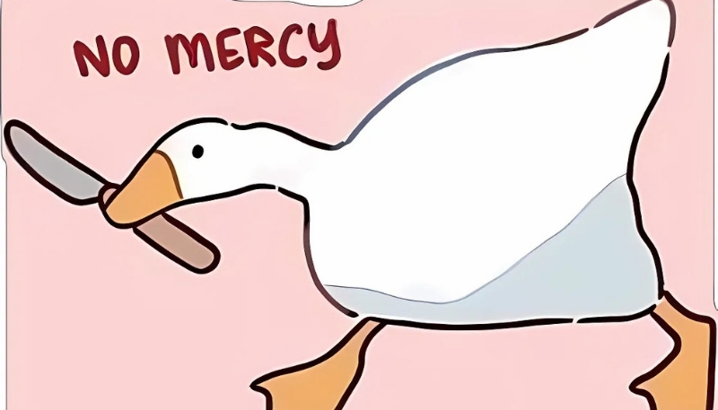 nền vịt meme vui nhộn cho máy tính bàn