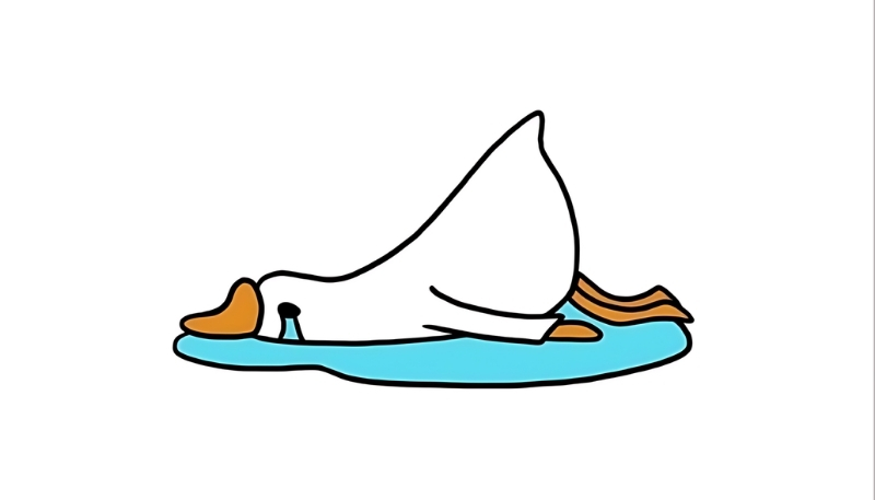 hình nền vịt meme đẹp 4K cho PC