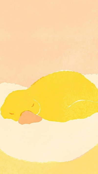 ảnh vịt vàng đáng yêu làm hình nền đẹp