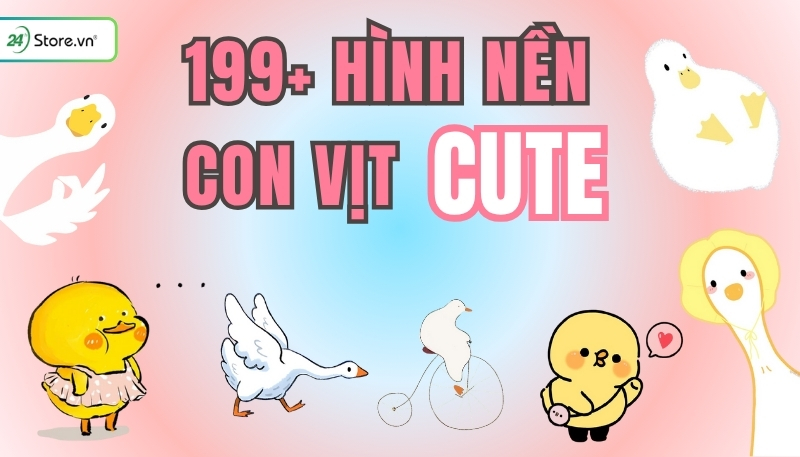 Hình nền con vịt