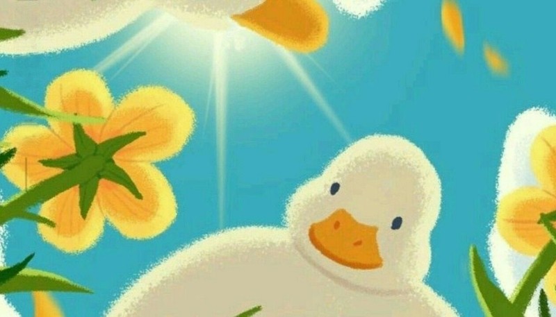 Hình nền vịt vô tri hài hước, phông nền phẳng hợp màn hình rộng