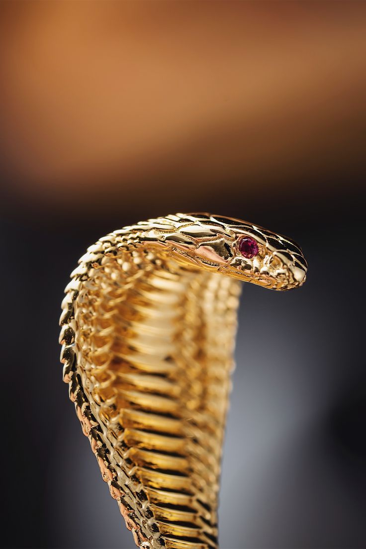 Hình nền may mắn tuổi Tỵ