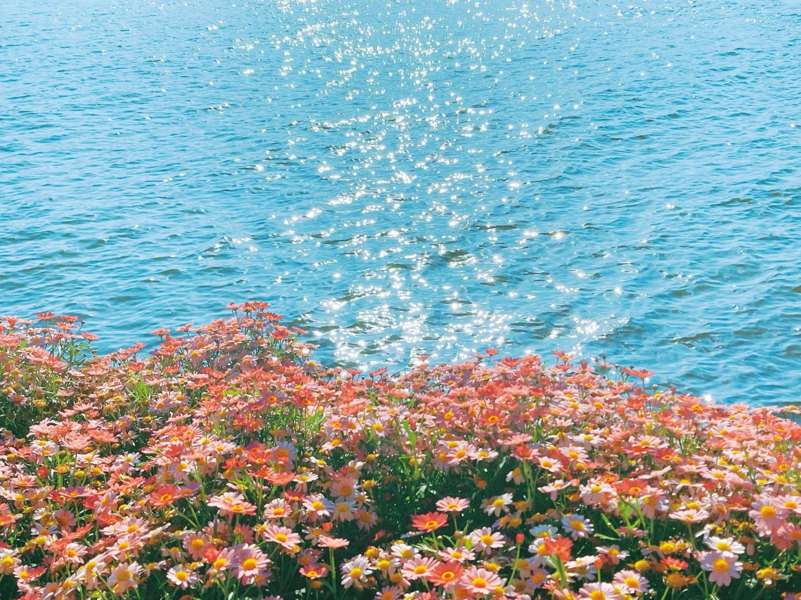 hình nền may mắn cuộc sống