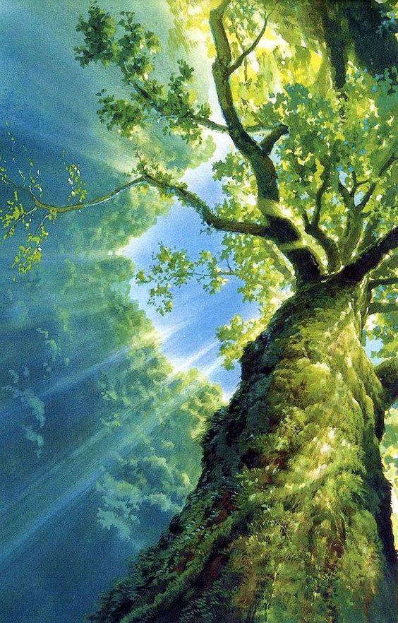 hình nền may mắn mệnh mộc