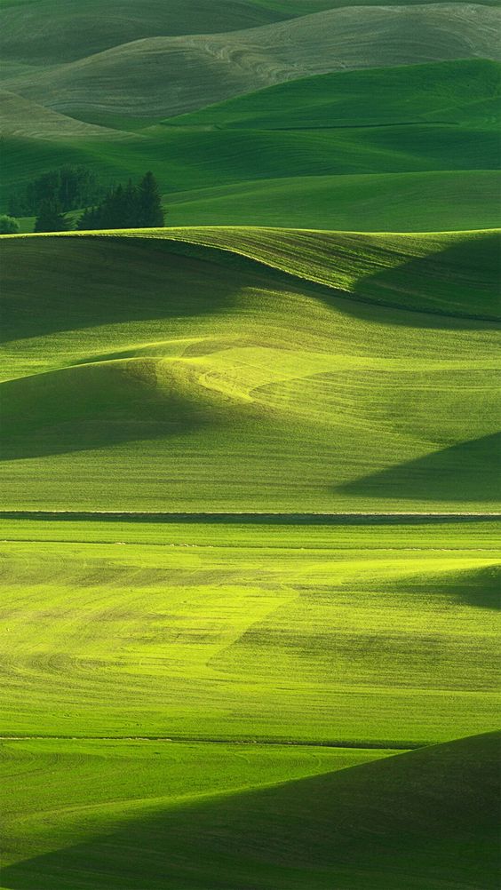 hình nền may mắn mệnh thổ