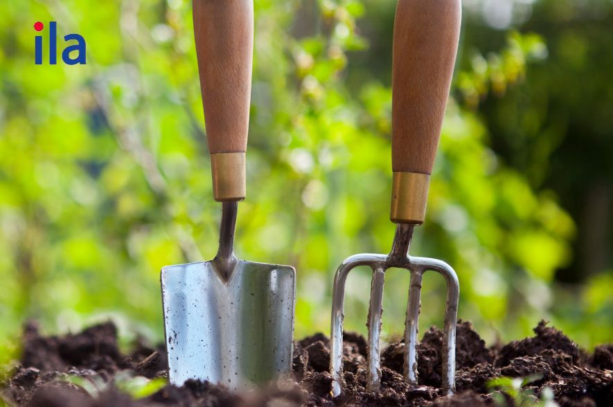 Collocation (từ ghép/cụm từ) với intend phổ biến