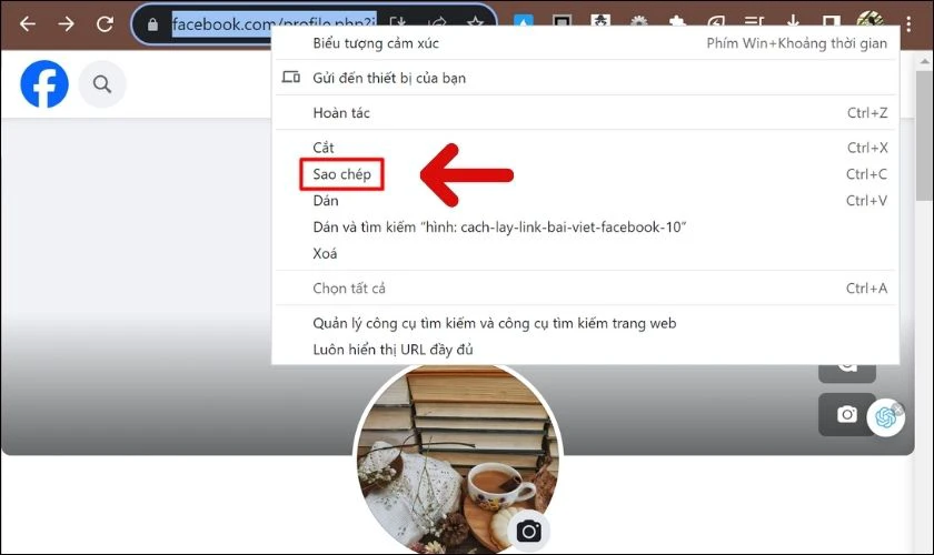 Nhấn chuột phải vào đường link và chọn Sao chép địa chỉ liên kết