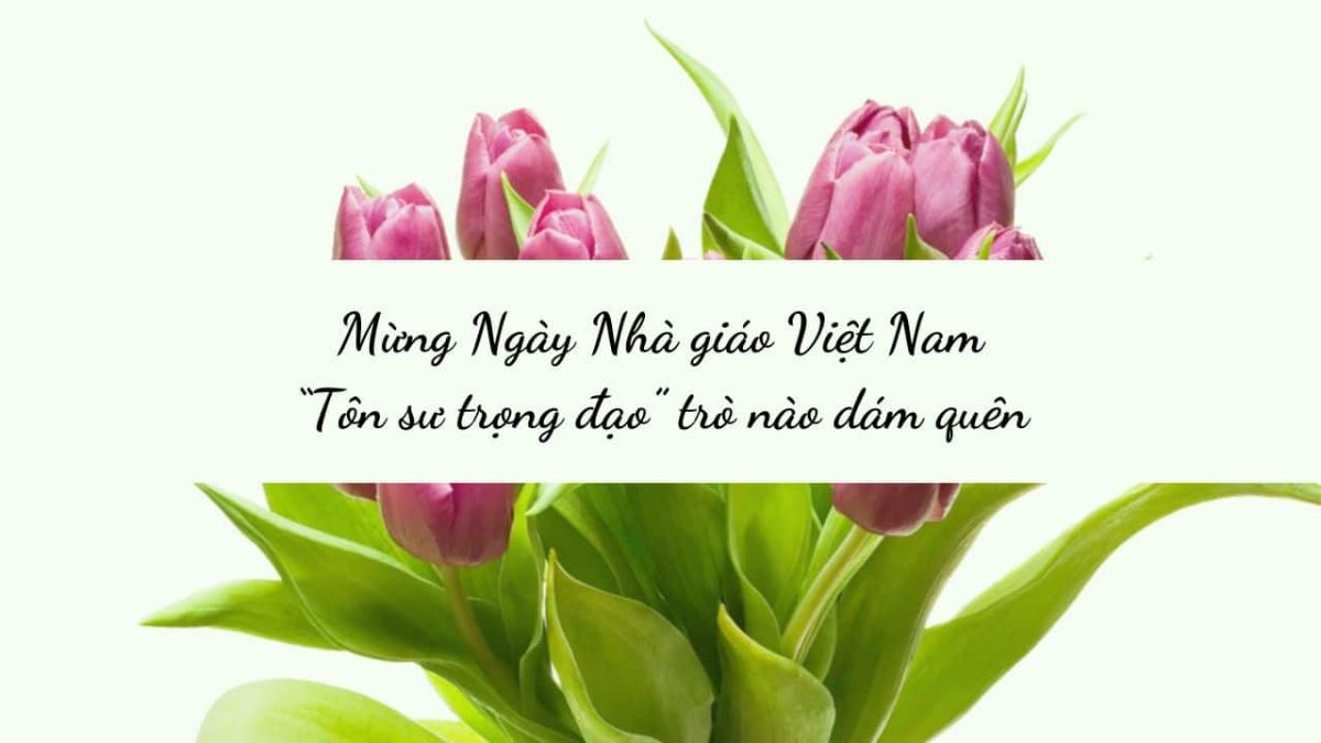 lời ngỏ 20/11