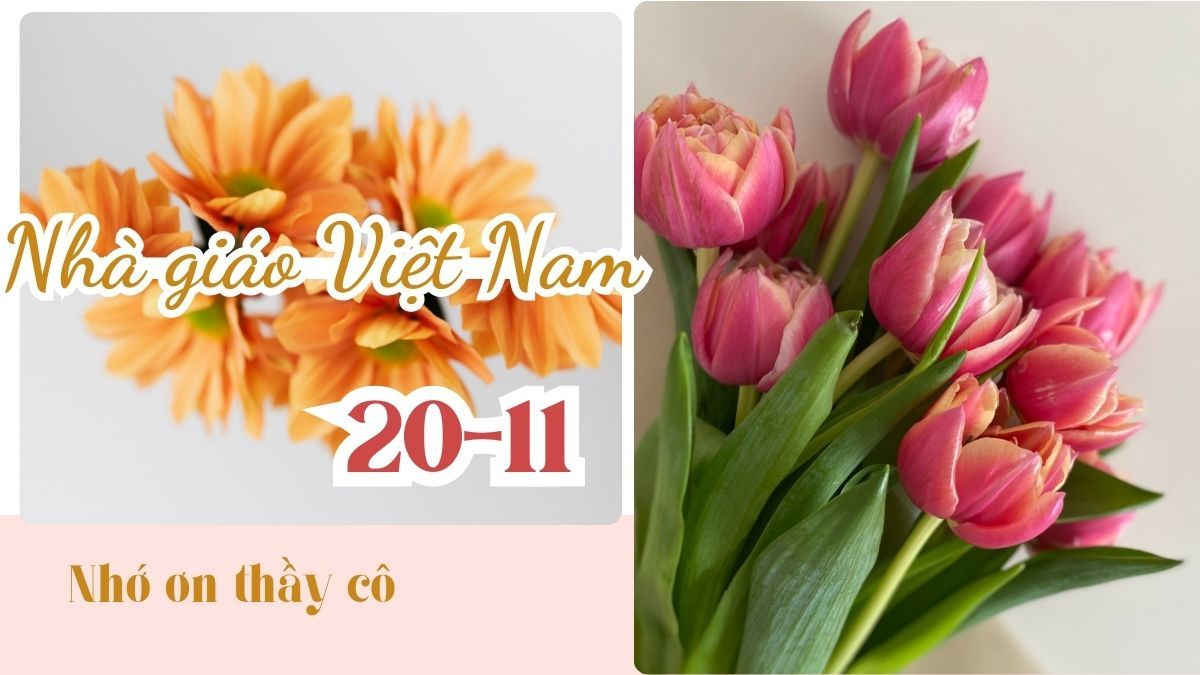 Lời ngỏ tập san 20/11 nhớ ơn thầy cô
