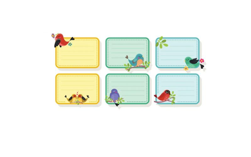 Nhãn vở với màu sắc rực rỡ