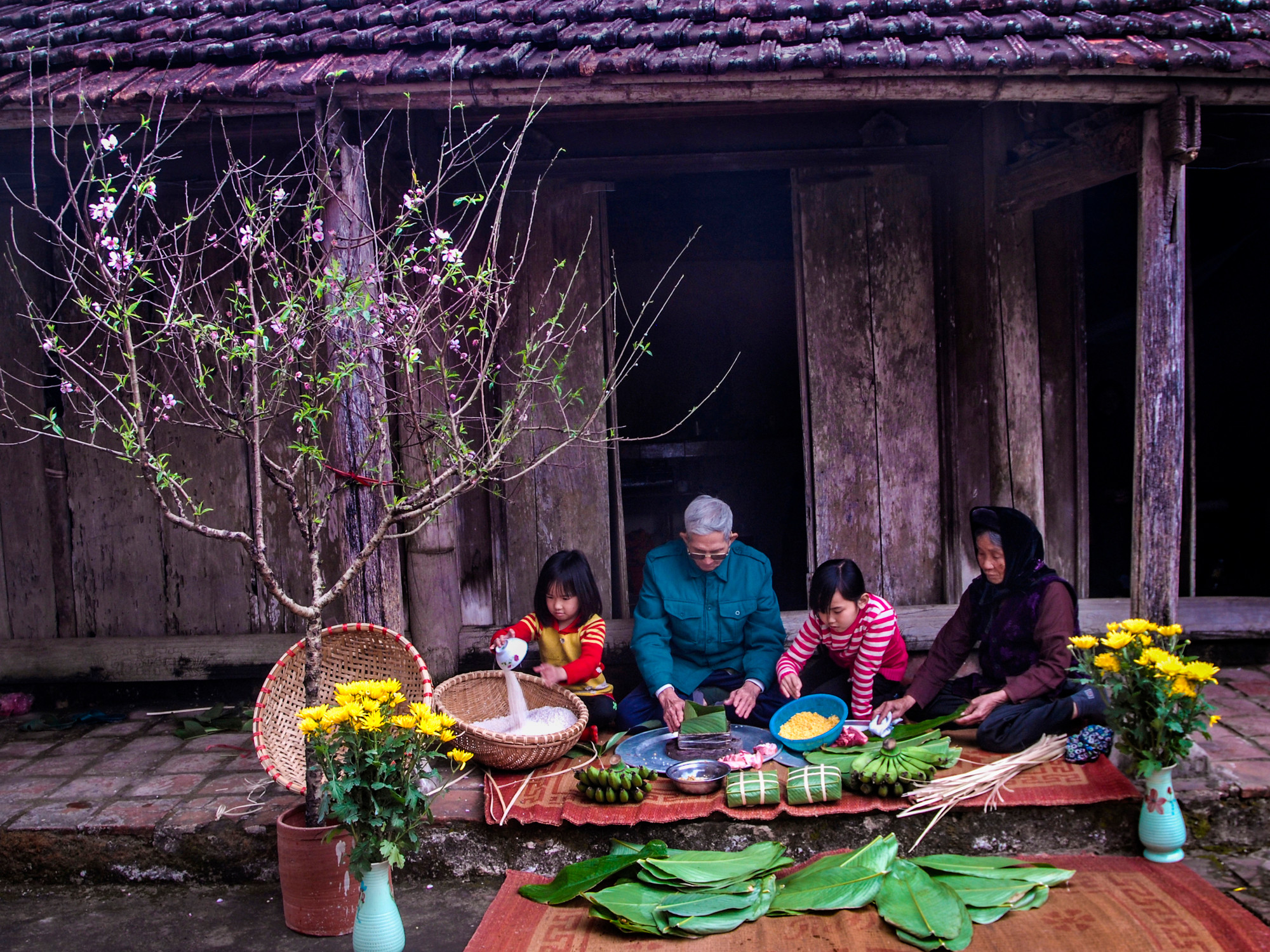 Mùa vàng. (Ảnh: HIẾU MINH VŨ)