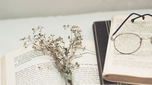 Văn bản nghị luận là gì? Đặc điểm? Mục đích?