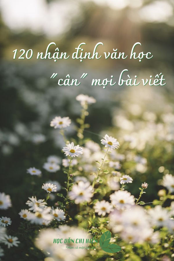 nhan dinh van hoc la gi