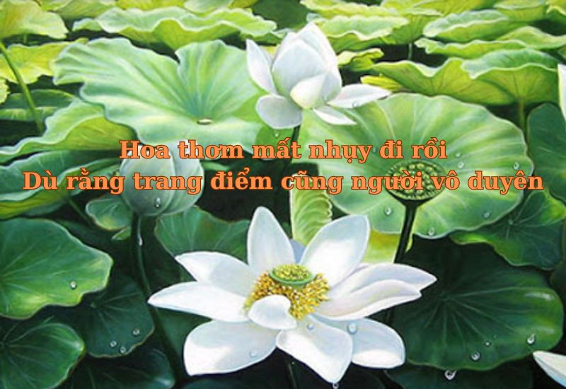 những câu tục ngữ nói về người vô duyên