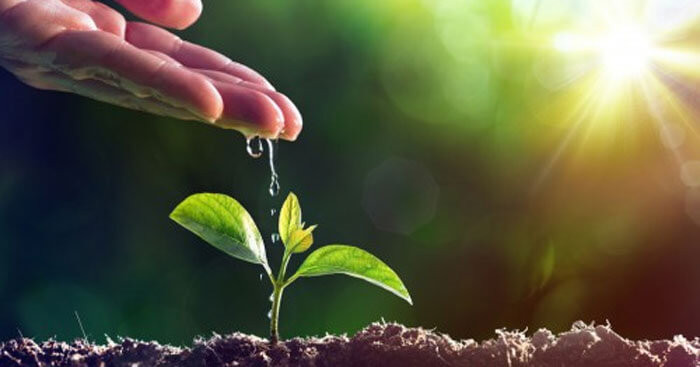 Bài văn Nghị luận xã hội Uống Nước Nhớ Nguồn hay nhất